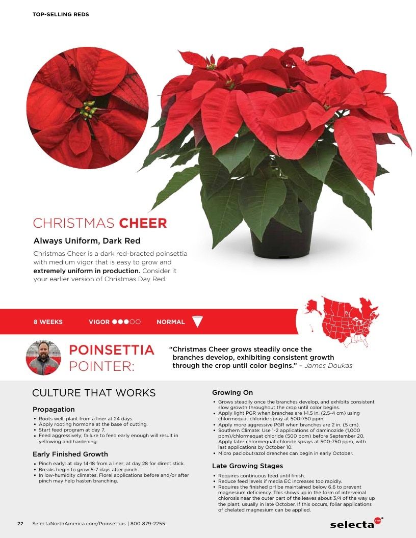 Selecta North America Poinsettia Catalog Weekly Ad January 1 - December 31, 2026