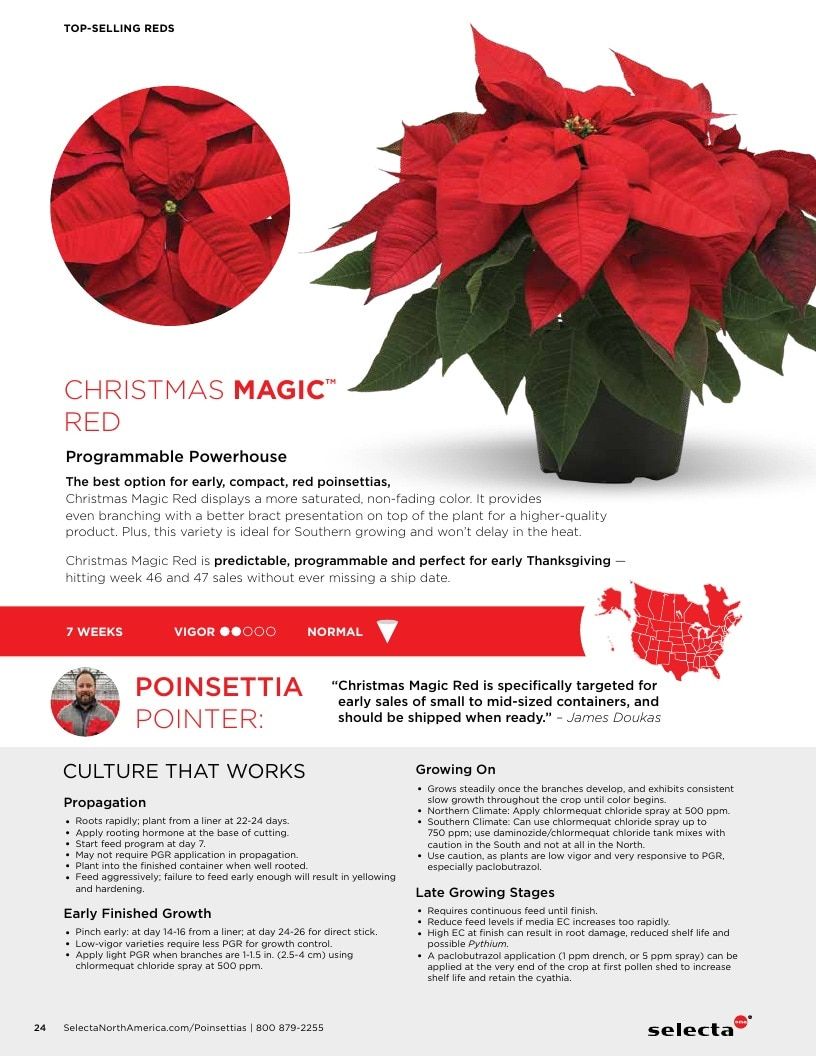 Selecta North America Poinsettia Catalog Weekly Ad January 1 - December 31, 2026