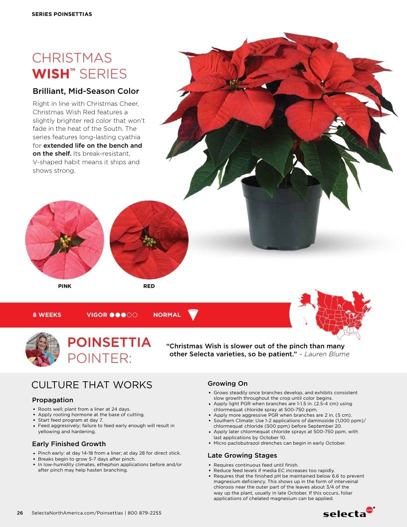 Selecta North America Poinsettia Catalog Weekly Ad January 1 - December 31, 2026