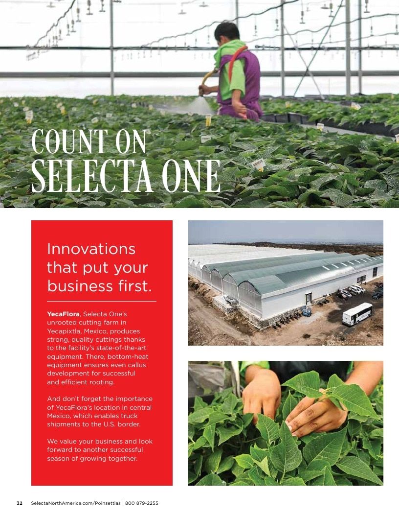 Selecta North America Poinsettia Catalog Weekly Ad January 1 - December 31, 2026