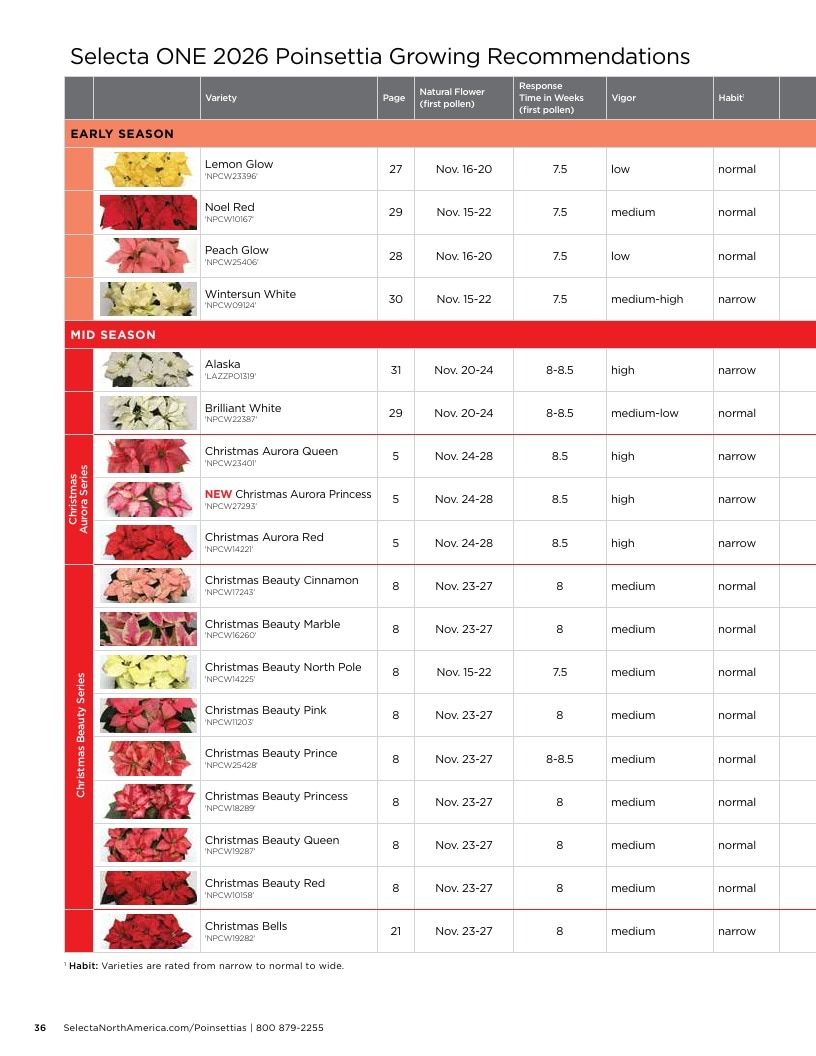 Selecta North America Poinsettia Catalog Weekly Ad January 1 - December 31, 2026
