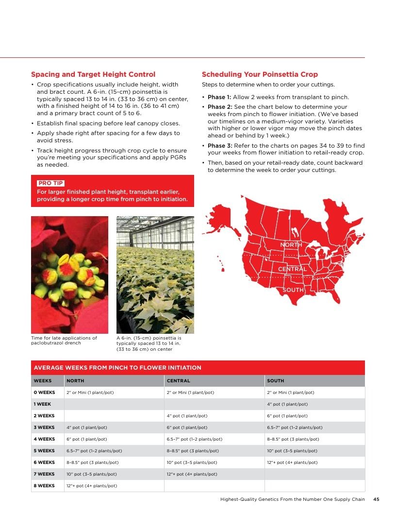 Selecta North America Poinsettia Catalog Weekly Ad January 1 - December 31, 2026