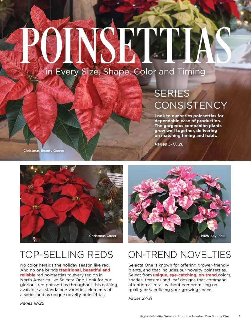 Selecta North America Poinsettia Catalog Weekly Ad January 1 - December 31, 2026