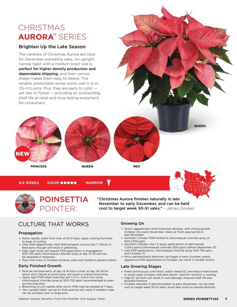 Selecta North America Poinsettia Catalog Weekly Ad January 1 - December 31, 2026