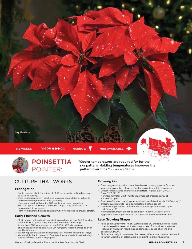 Selecta North America Poinsettia Catalog Weekly Ad January 1 - December 31, 2026