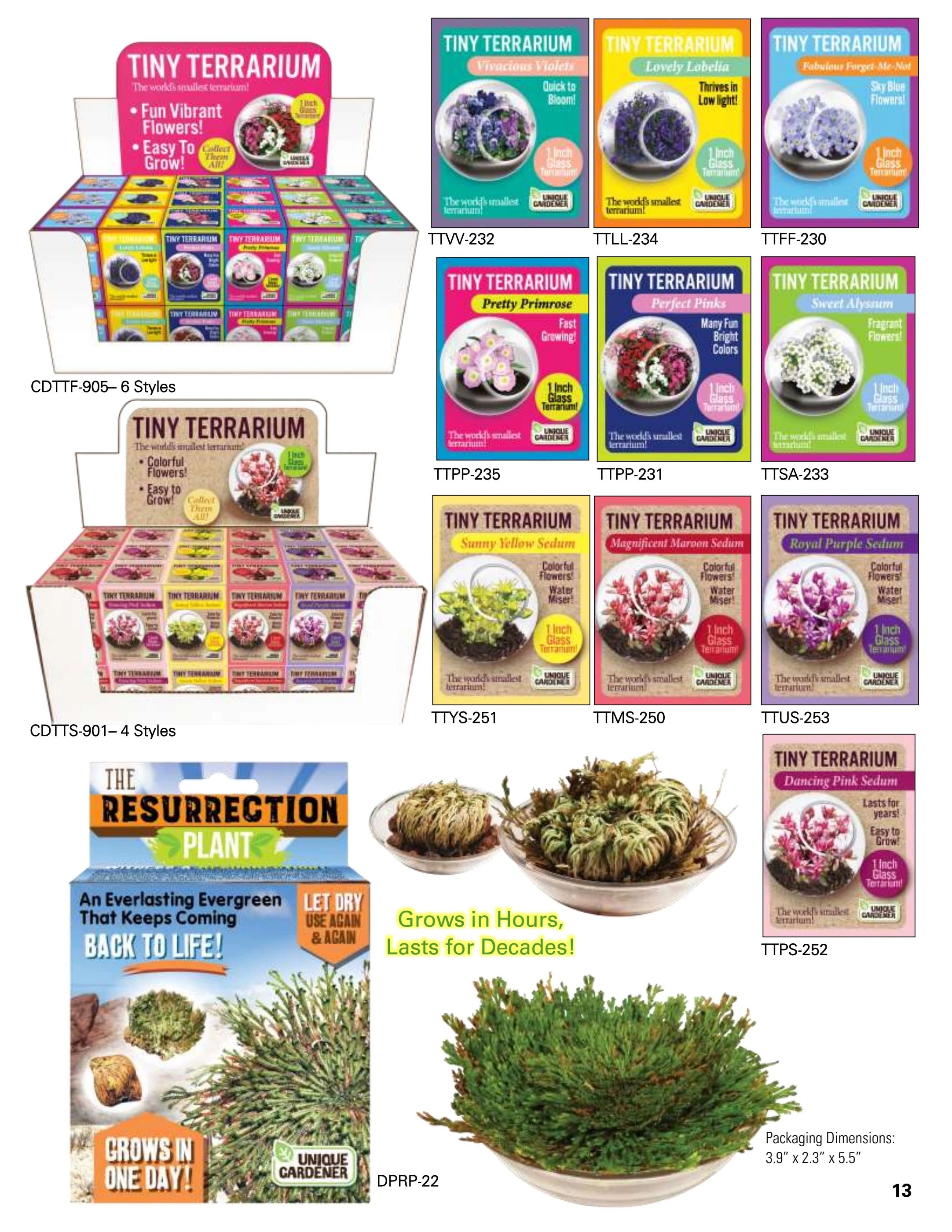 Silver Circle Toys Catalog Weekly Ad January 1 - December 31, 2026