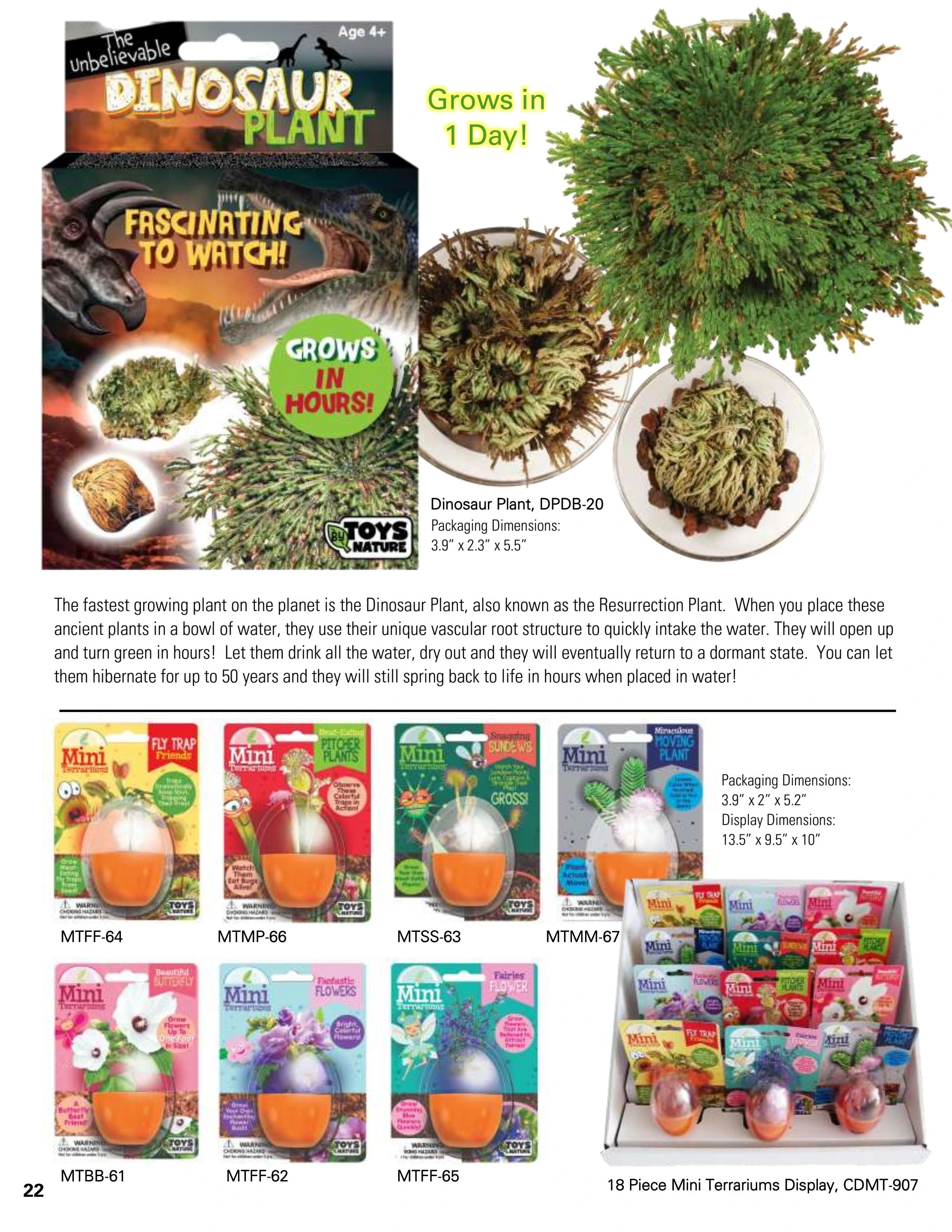 Silver Circle Toys Catalog Weekly Ad January 1 - December 31, 2026