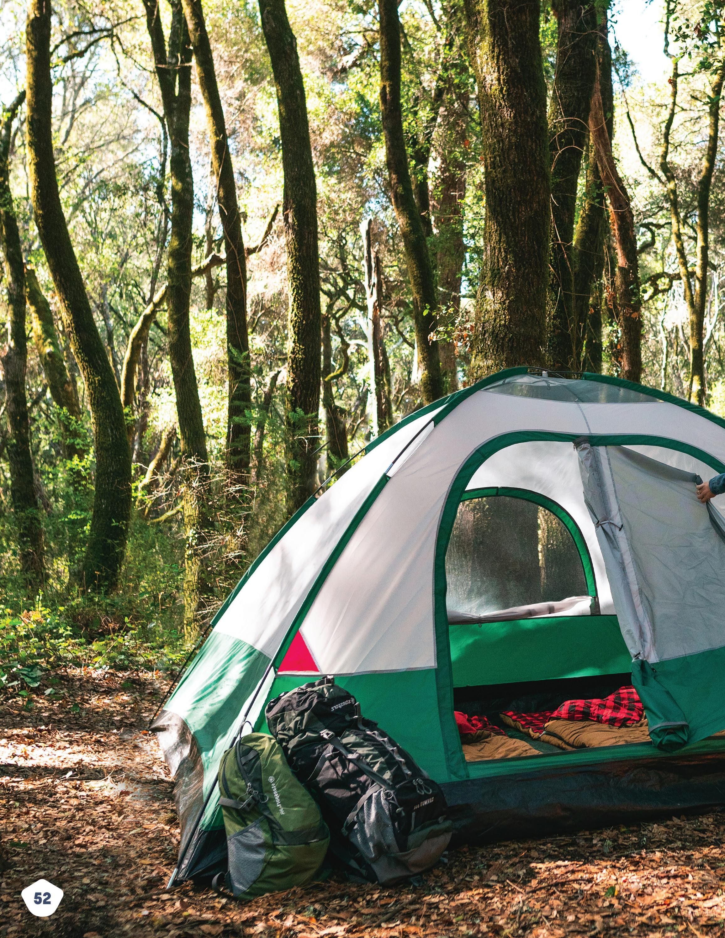 Stansport Camping Products Catalog Weekly Ad January 1 - December 31, 2026