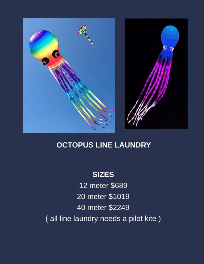 Southern Lights LED Kites LED Kites Catalog Weekly Ad January 1 - December 31, 2026