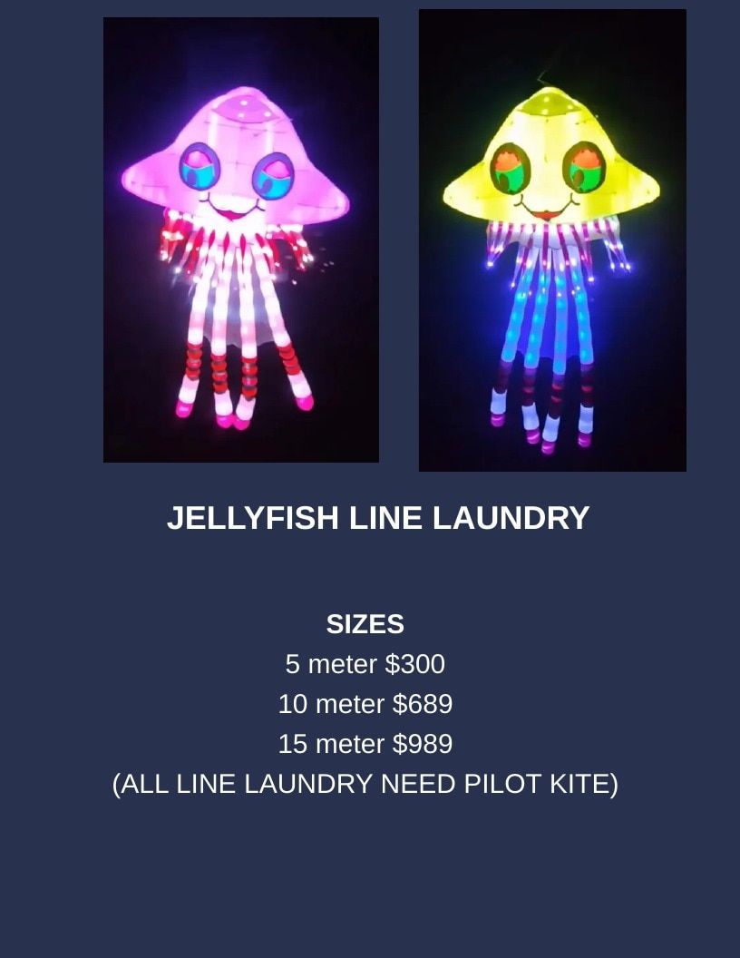 Southern Lights LED Kites LED Kites Catalog Weekly Ad January 1 - December 31, 2026