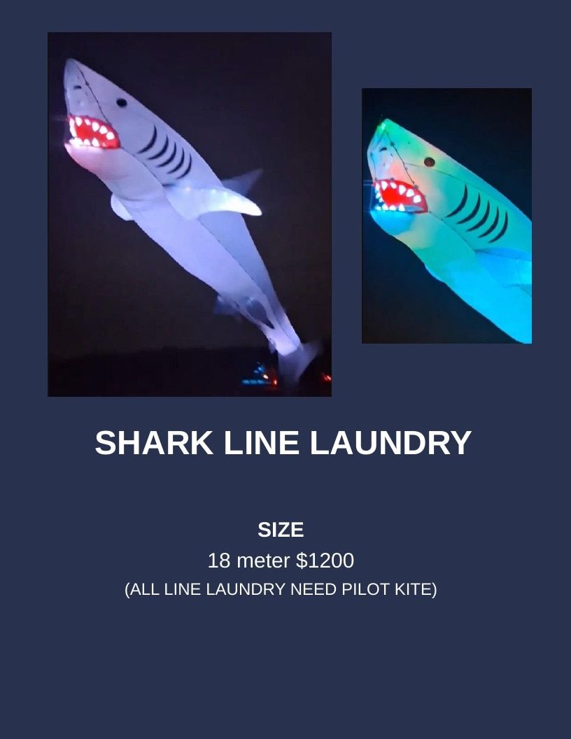 Southern Lights LED Kites LED Kites Catalog Weekly Ad January 1 - December 31, 2026