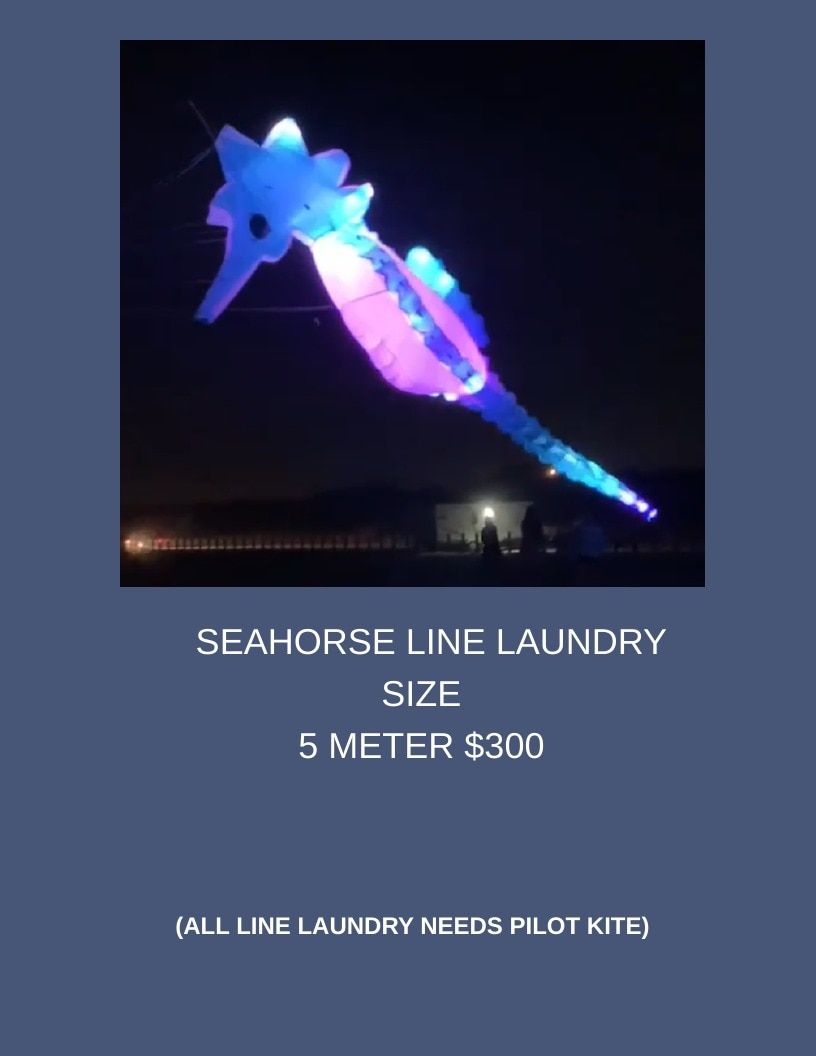 Southern Lights LED Kites LED Kites Catalog Weekly Ad January 1 - December 31, 2026