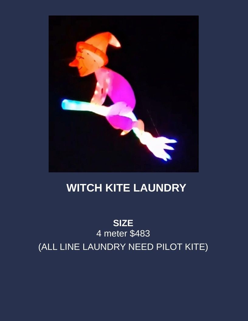 Southern Lights LED Kites LED Kites Catalog Weekly Ad January 1 - December 31, 2026