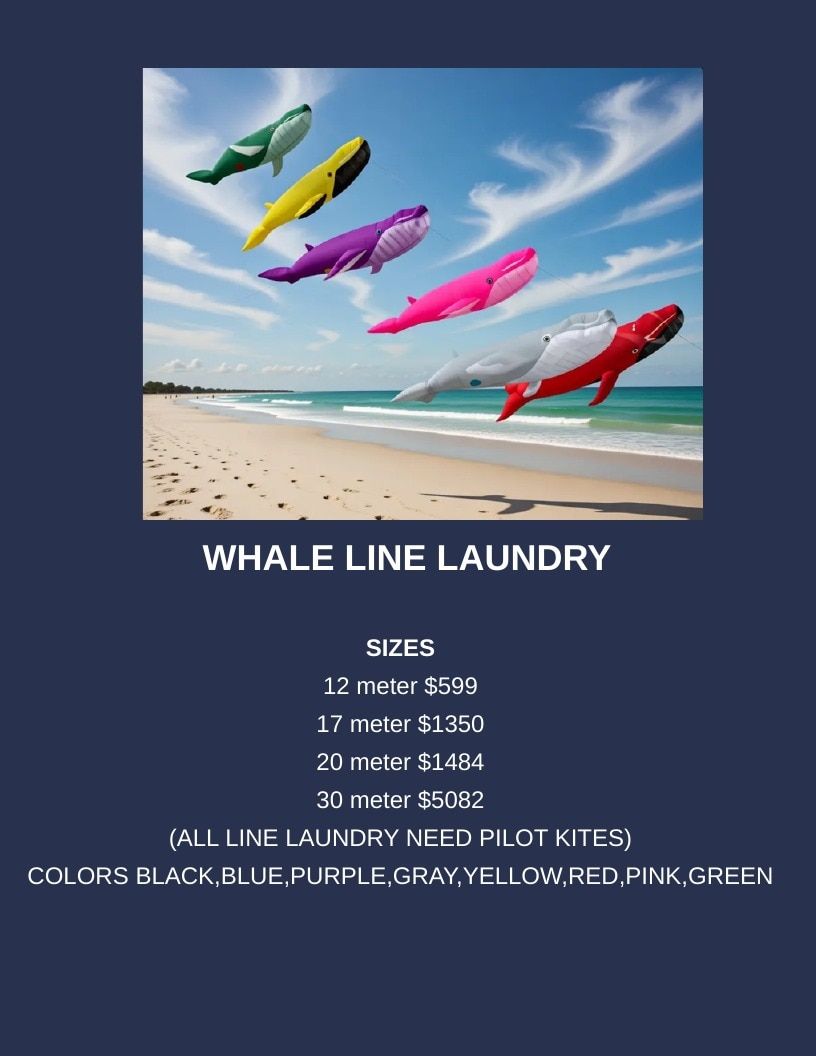 Southern Lights LED Kites LED Kites Catalog Weekly Ad January 1 - December 31, 2026