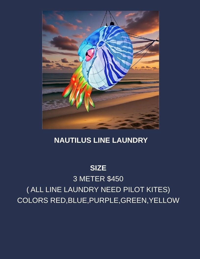 Southern Lights LED Kites LED Kites Catalog Weekly Ad January 1 - December 31, 2026