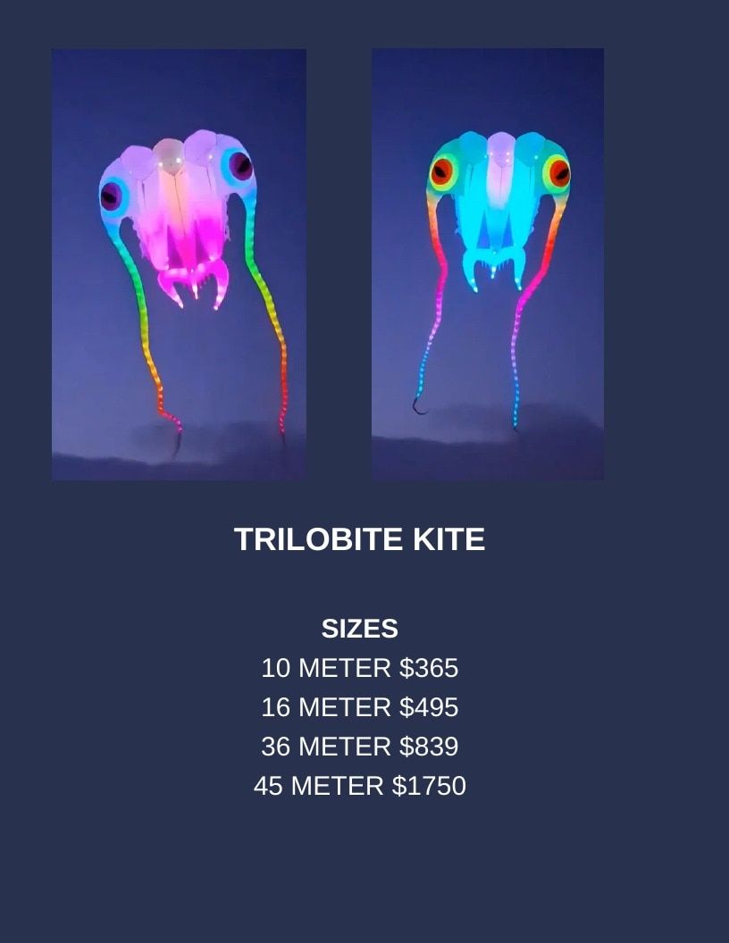 Southern Lights LED Kites LED Kites Catalog Weekly Ad January 1 - December 31, 2026