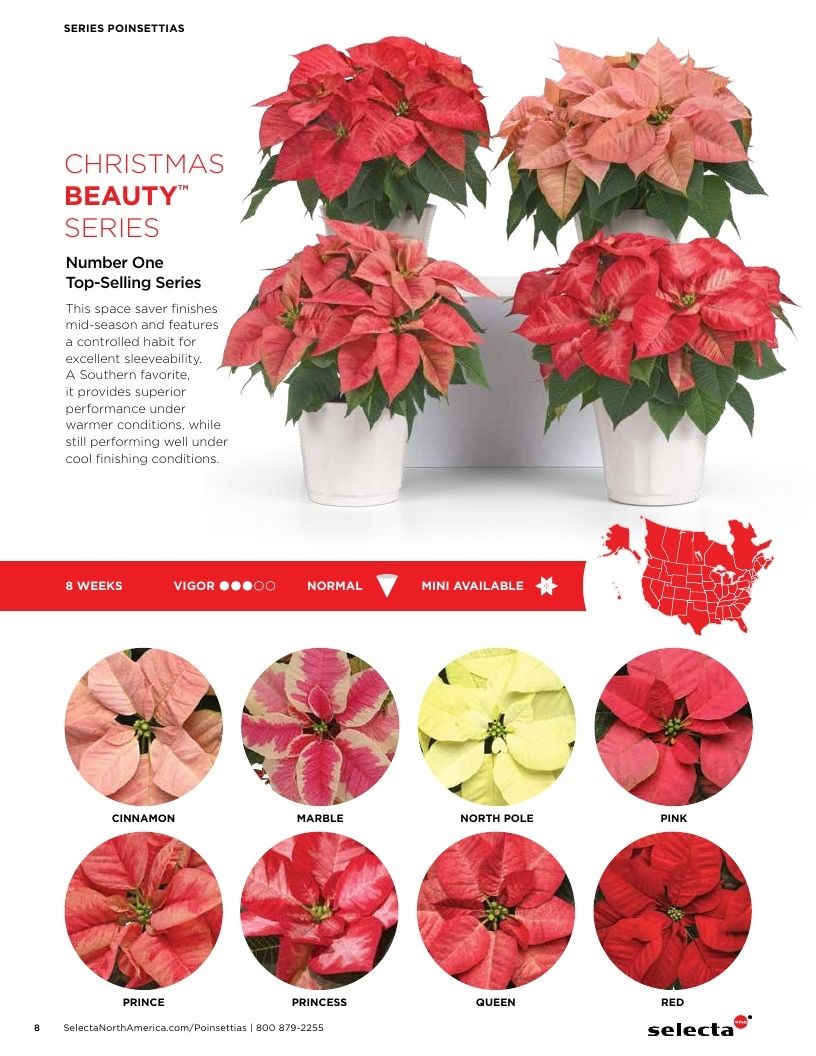 Selecta One North America Poinsettias Catalog Weekly Ad January 1 - December 31, 2026
