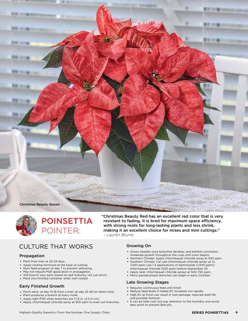 Selecta One North America Poinsettias Catalog Weekly Ad January 1 - December 31, 2026