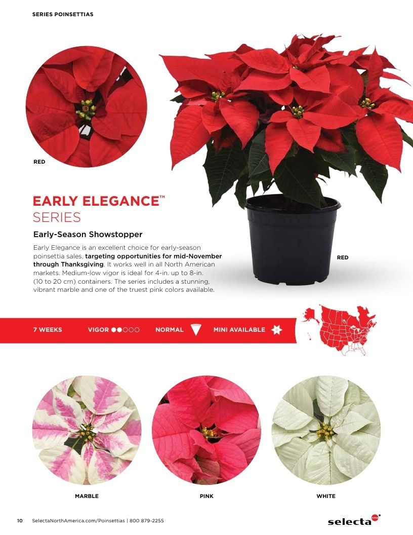 Selecta One North America Poinsettias Catalog Weekly Ad January 1 - December 31, 2026