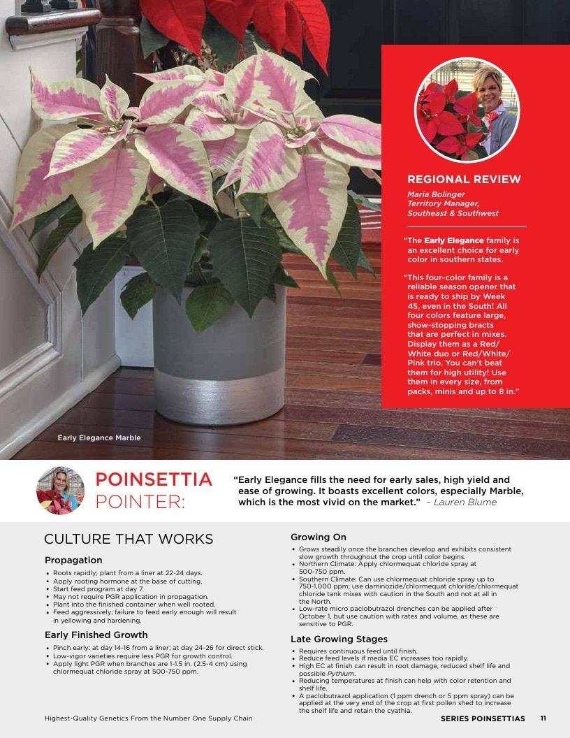 Selecta One North America Poinsettias Catalog Weekly Ad January 1 - December 31, 2026