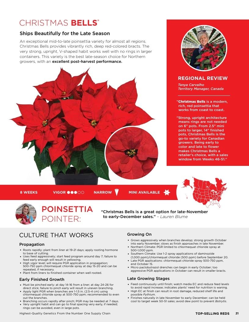 Selecta One North America Poinsettias Catalog Weekly Ad January 1 - December 31, 2026