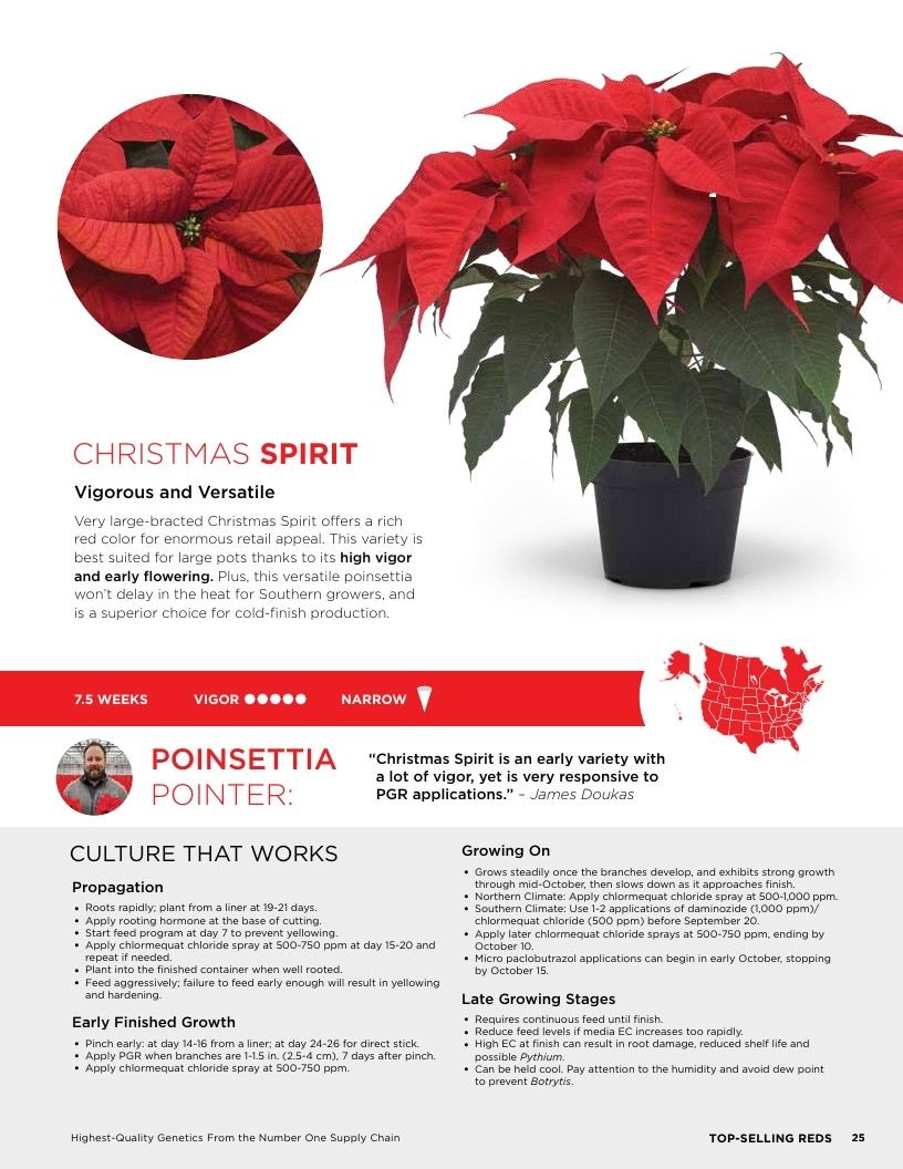 Selecta One North America Poinsettias Catalog Weekly Ad January 1 - December 31, 2026