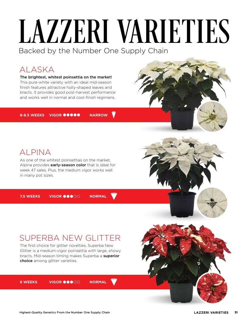 Selecta One North America Poinsettias Catalog Weekly Ad January 1 - December 31, 2026