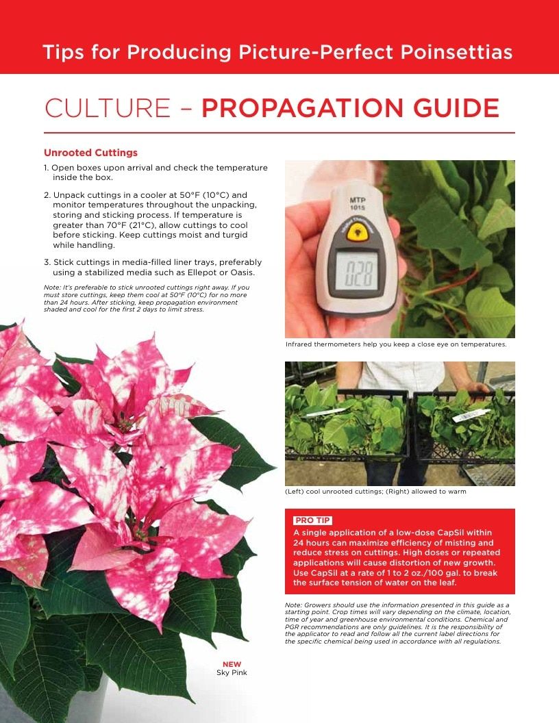 Selecta One North America Poinsettias Catalog Weekly Ad January 1 - December 31, 2026
