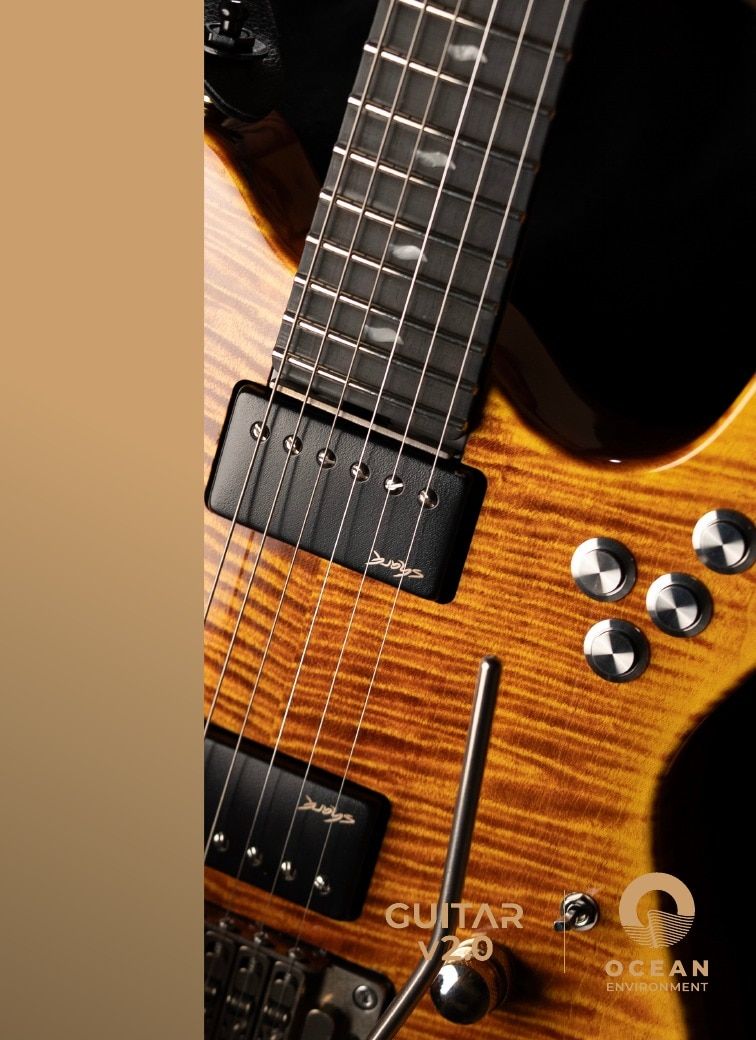 Shark Guitars Guitar Catalog Weekly Ad January 1 - December 31, 2026