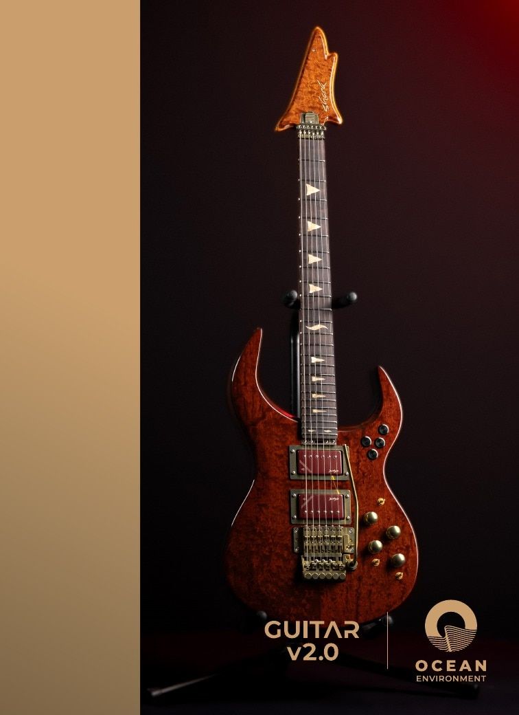 Shark Guitars Guitar Catalog Weekly Ad January 1 - December 31, 2026