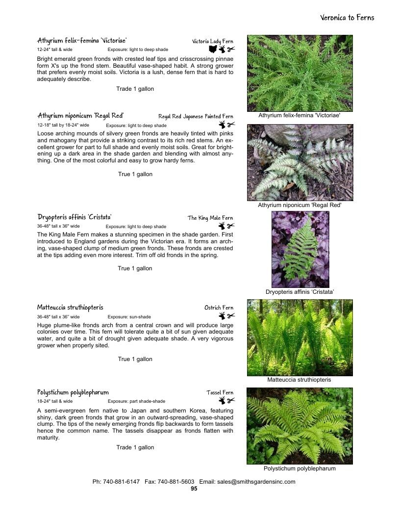 Smith's Gardens Garden Catalog Weekly Ad January 1 - December 31, 2026