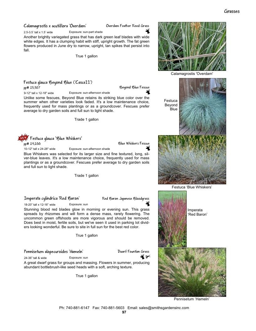 Smith's Gardens Garden Catalog Weekly Ad January 1 - December 31, 2026