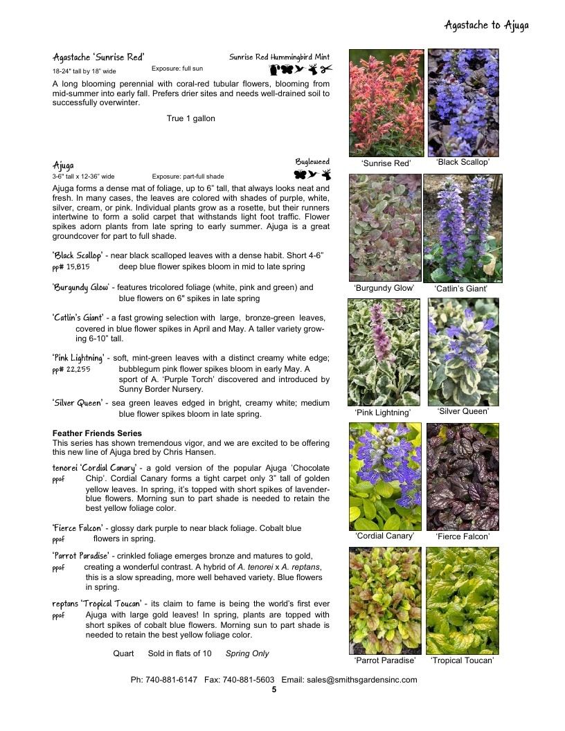 Smith's Gardens Garden Catalog Weekly Ad January 1 - December 31, 2026