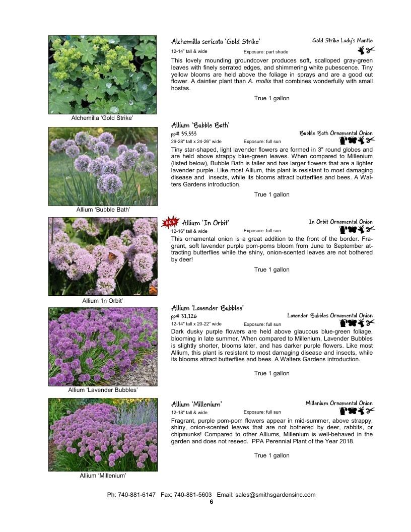 Smith's Gardens Garden Catalog Weekly Ad January 1 - December 31, 2026
