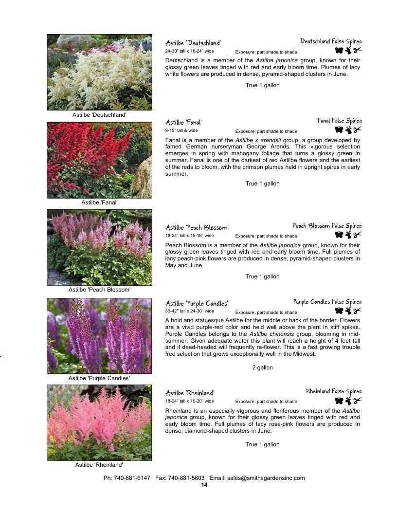 Smith's Gardens Garden Catalog Weekly Ad January 1 - December 31, 2026