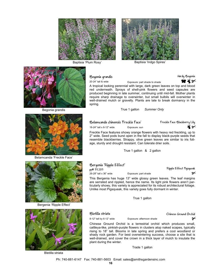 Smith's Gardens Garden Catalog Weekly Ad January 1 - December 31, 2026