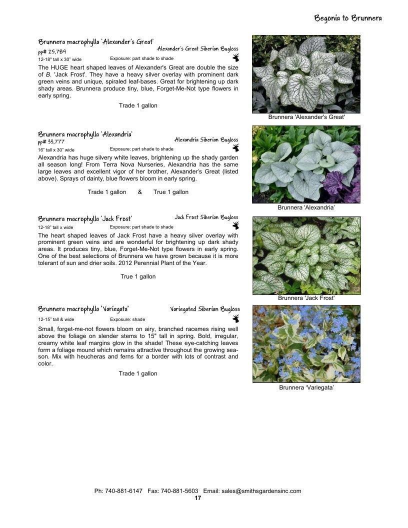 Smith's Gardens Garden Catalog Weekly Ad January 1 - December 31, 2026