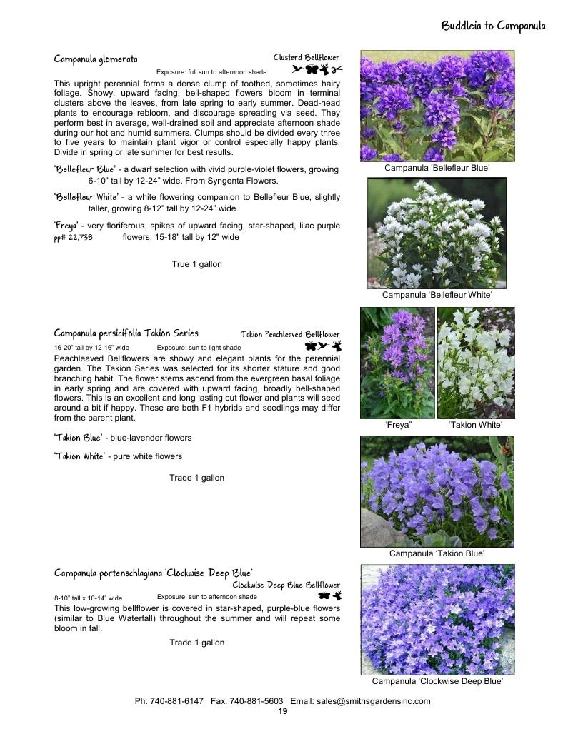 Smith's Gardens Garden Catalog Weekly Ad January 1 - December 31, 2026