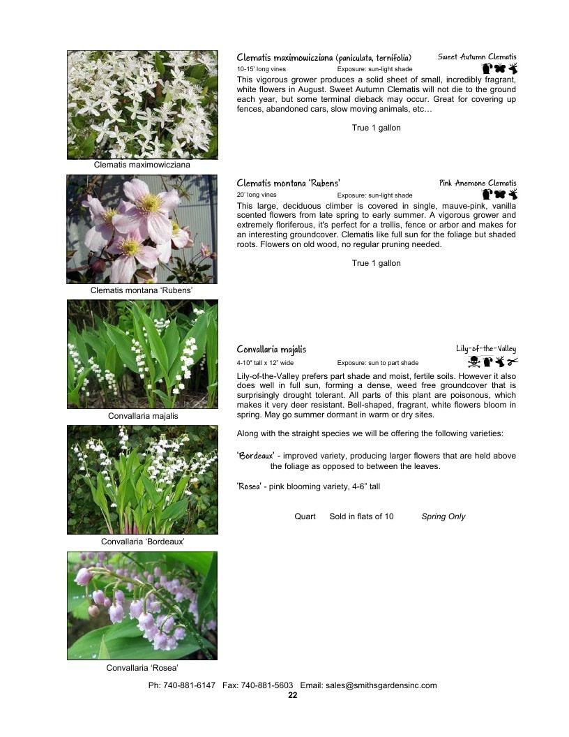 Smith's Gardens Garden Catalog Weekly Ad January 1 - December 31, 2026