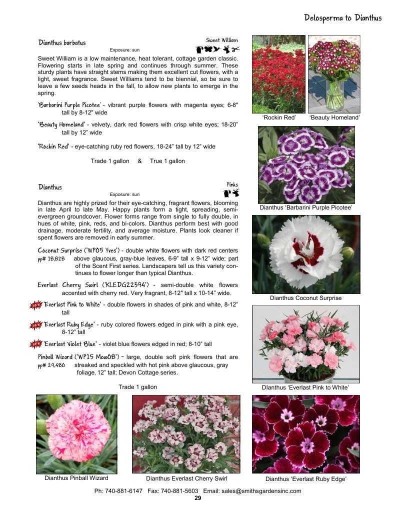 Smith's Gardens Garden Catalog Weekly Ad January 1 - December 31, 2026
