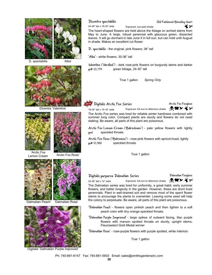 Smith's Gardens Garden Catalog Weekly Ad January 1 - December 31, 2026