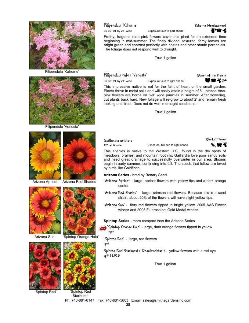 Smith's Gardens Garden Catalog Weekly Ad January 1 - December 31, 2026