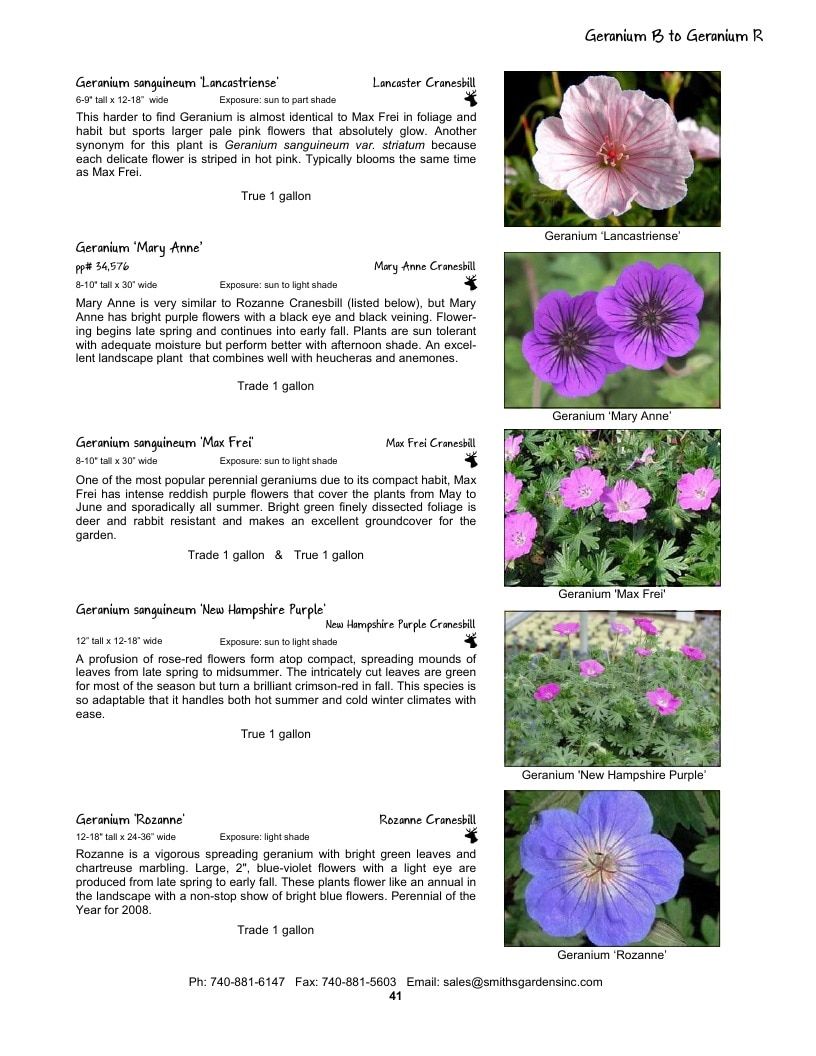 Smith's Gardens Garden Catalog Weekly Ad January 1 - December 31, 2026