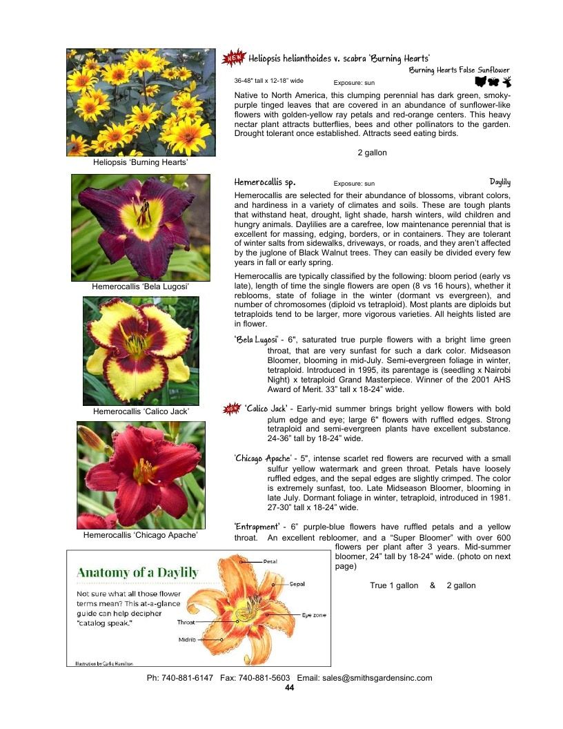 Smith's Gardens Garden Catalog Weekly Ad January 1 - December 31, 2026