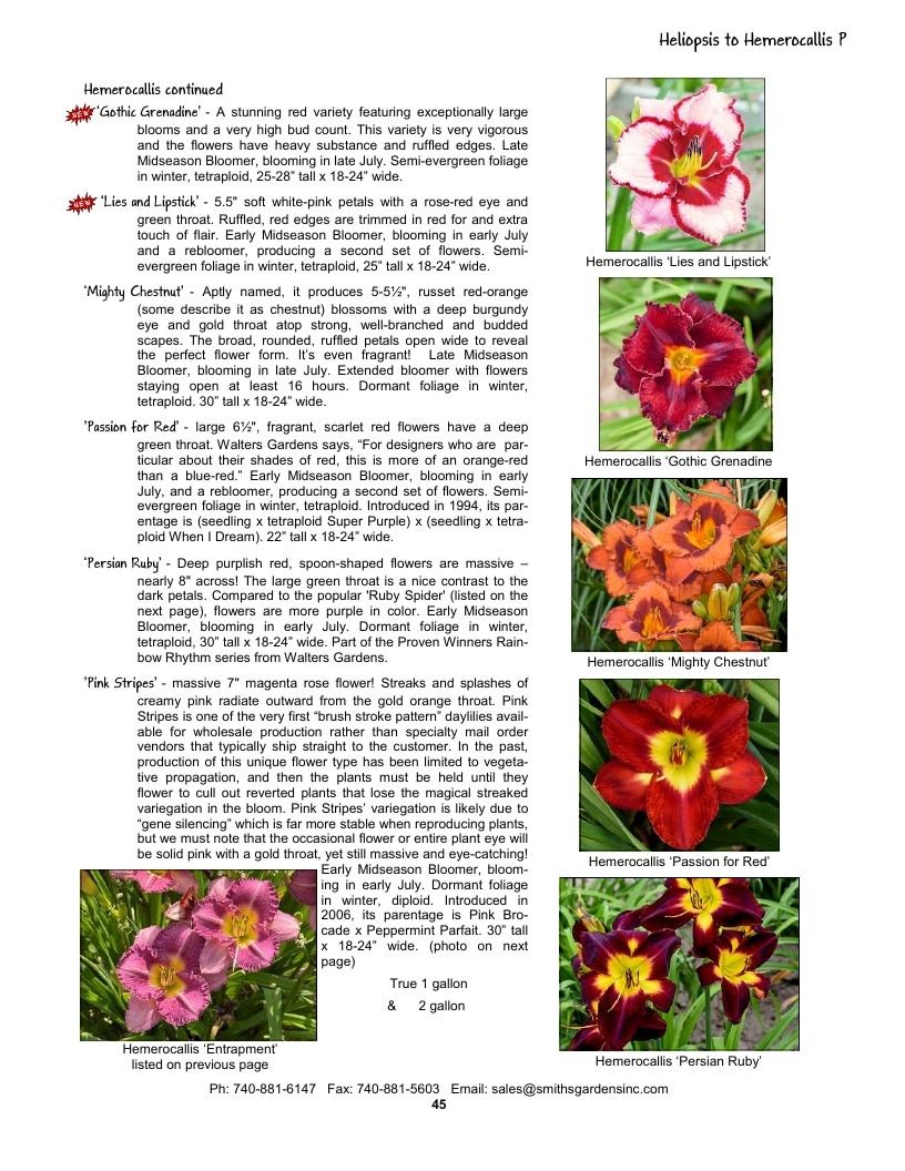 Smith's Gardens Garden Catalog Weekly Ad January 1 - December 31, 2026