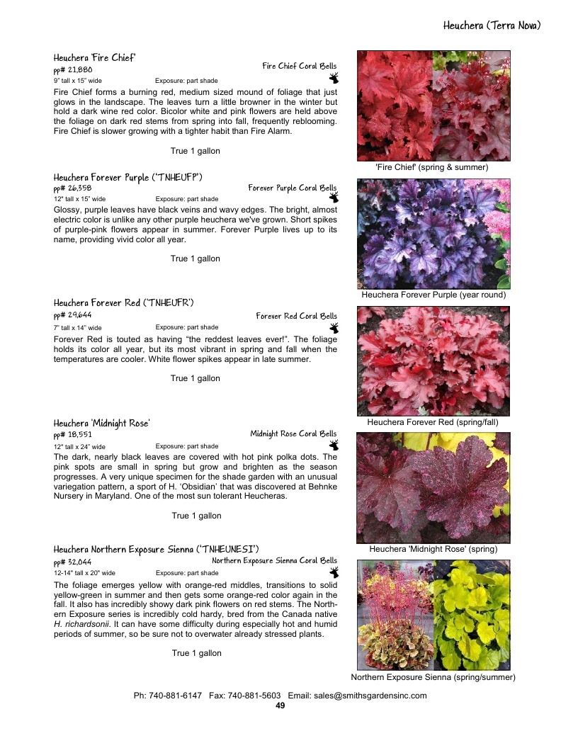Smith's Gardens Garden Catalog Weekly Ad January 1 - December 31, 2026