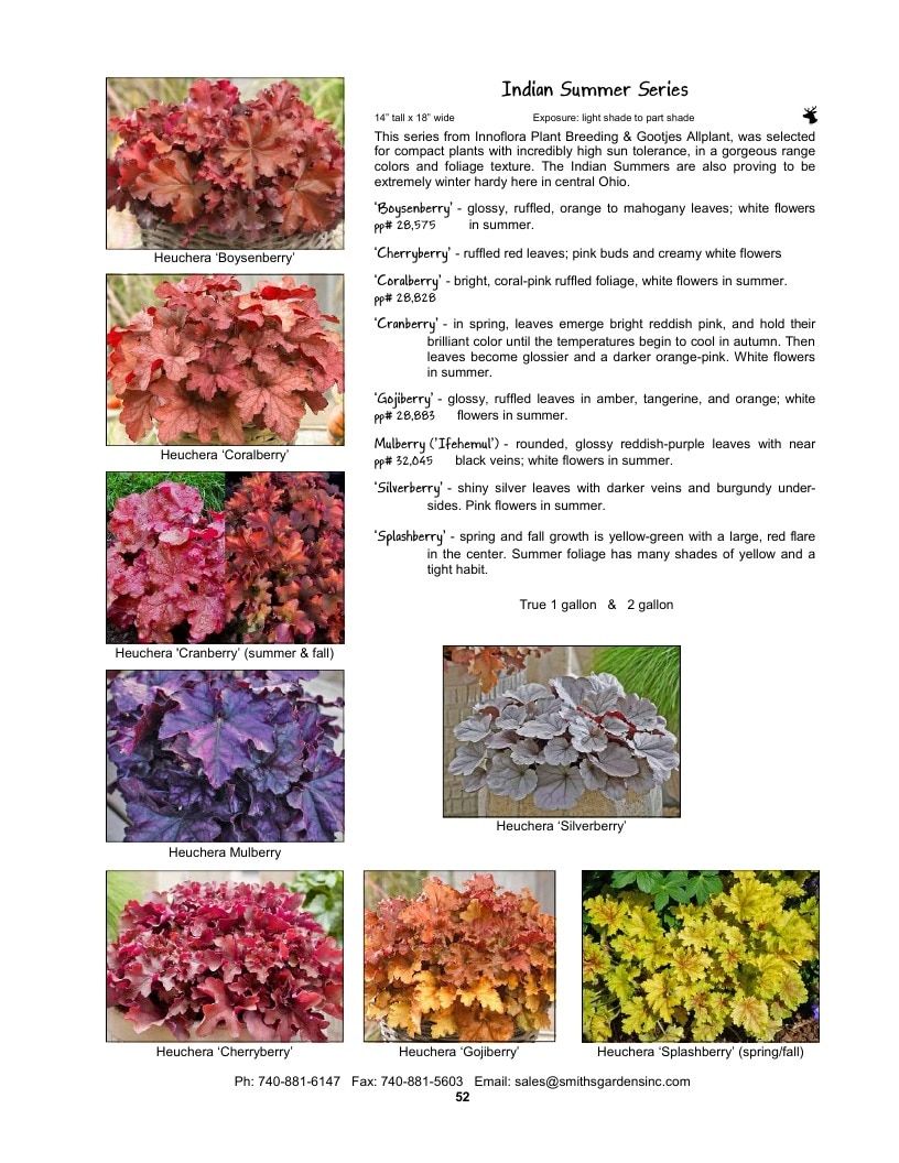 Smith's Gardens Garden Catalog Weekly Ad January 1 - December 31, 2026