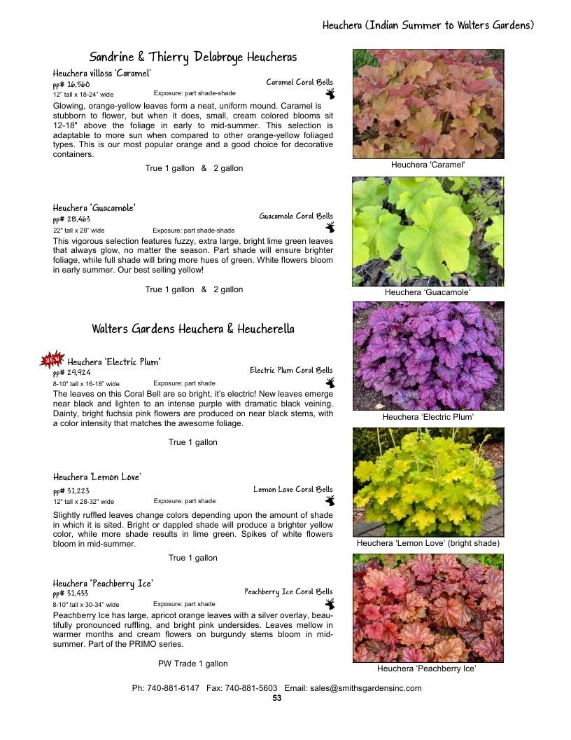 Smith's Gardens Garden Catalog Weekly Ad January 1 - December 31, 2026
