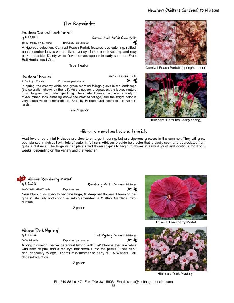 Smith's Gardens Garden Catalog Weekly Ad January 1 - December 31, 2026