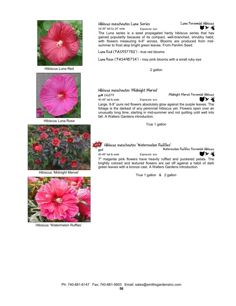 Smith's Gardens Garden Catalog Weekly Ad January 1 - December 31, 2026
